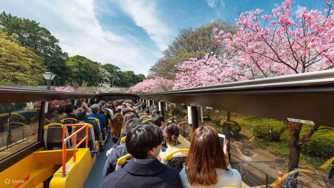 Tokyo Open-Top Bus Sightseeing Tour