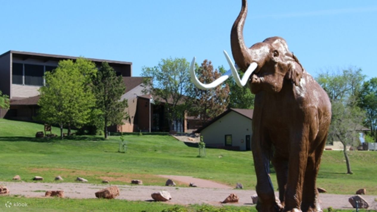 Custer Cars Ride Private Buffalo Jeep Ride, Custer State Park and the Mammoth Site Tour ...