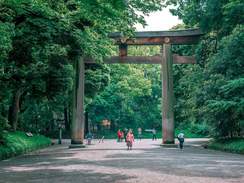Mitaka Mori Ghibli Museum & Inokashira Park Walking Tour - Klook