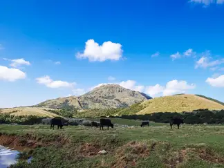 阳明山游览