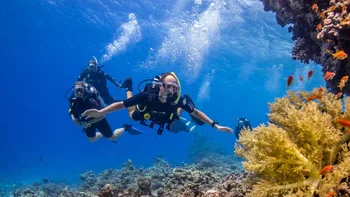 Top 10 Sharm El Sheikh Scuba diving 2024 - Klook United States
