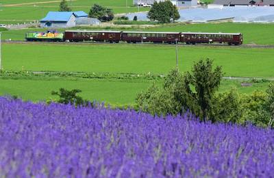 JR Hokkaido Sapporo-Furano Area Pass