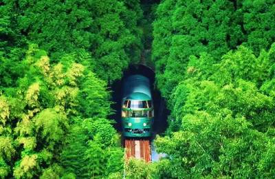 Yufuin no Mori Train Experience: Yufuin Onsen Town & Kyushu Zoo & Bepp