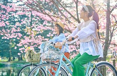 Karuizawa Day Trip: Shiraito Falls + Kumoba Pond + Outlet Shopping
