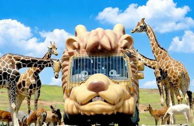 Kyushu Oita | Kyushu Natural Animal Park & Mt. Yufu & Yufuin & Kinrin