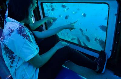 Glass Bottom Boat Tour in Okinawa