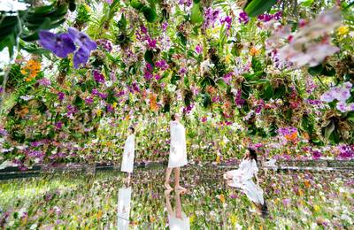 teamLab Planets TOKYO