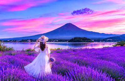 【Mount Fuji Sightseeing Cable Car Experien…