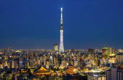 [Private Chartered Car] Tokyo City to Tokyo Disneyland/Mount Fuji/Karu