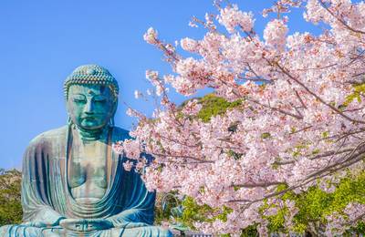 Kamakura & Enoshima Day Trip from Tokyo: Tsurugaoka Hachimangu, Hase-d