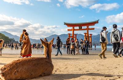 Hiroshima & Miyajima with Ferry and optional bullet train
