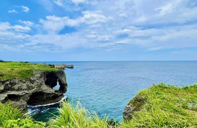 Okinawa Northern One-Day Tour | Churaumi Aquarium & Manza Cape & Ameri