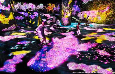 teamLab Forest Fukuoka Ticket