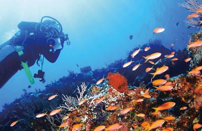 Onna Village Blue Cave Diving and Snorkeling Experience in Okinawa