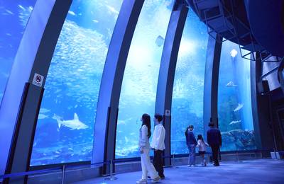 Yokohama Hakkeijima Sea Paradise Ticket