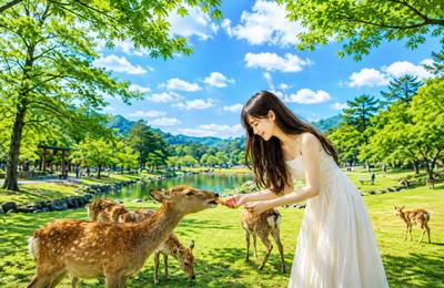 Arashiyama Bamboo Forest & Nara Park Deer & …