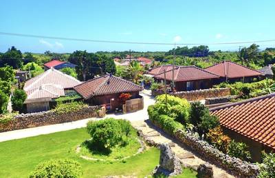 Okinawa Ishigaki Island & Taketomi Island: Choose from popular activit