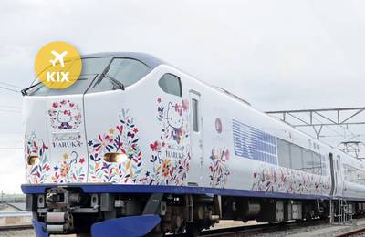 JR Haruka Kansai Airport Express
