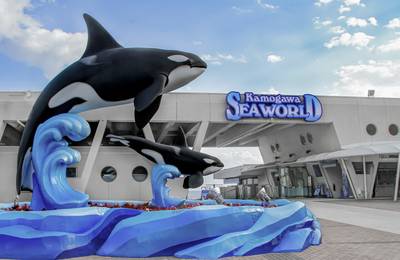 Kamogawa Sea World Ticket Admission Ticket in Chiba