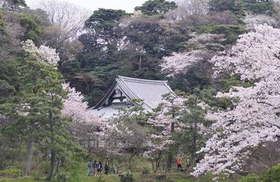 Sankeien Garden Admission