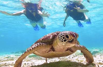 Miyako Island Sea Turtle Snorkeling & Beach SUP or Canoe 1-Day/Half-Da