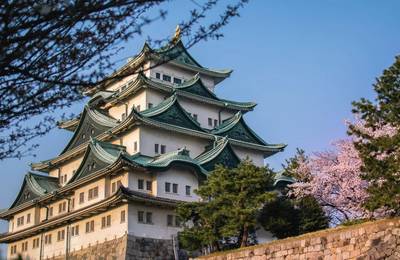 Guided Walk through Nagoya's Castle, Gardens, and Historic Estates
