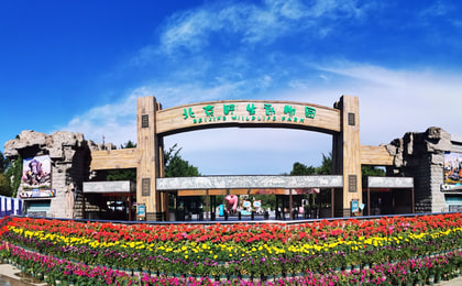 บัตรเข้าสวนสัตว์ Beijing Wildlife Park