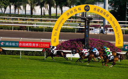 บริการรับส่งไปสนามแข่งม้า Shatin ของสโมสร Hong Kong Jockey Club (ออกเดินทางจากกวางตุ้ง)