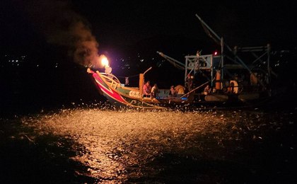 ล่องเรือยอชท์ชมหิ่งห้อยจีหลง (Keelung) พร้อมตกปลาทะเล และอิ่มอร่อยกับบุฟเฟต์ก๋วยเตี๋ยวเสี่ยวจวน (Xiaojuan & Xiaojuan Rice Noodles)
