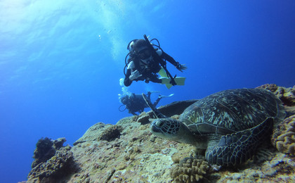 ดำน้ำที่เกาะกรีน｜ไต้หวัน ไถตง｜ศูนย์ดำน้ำ Blue Saphire เกาะกรีน｜คอร์สเรียนดำน้ำ PADI Open Water Diver ขั้นเริ่มต้น 4 วัน 3 คืน
