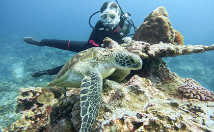 เกาะกรีน: เกาะฮั่ว燒 - ดำน้ำ (PADI OW / AOW / Rescue / เรียนฟรีไดฟ์ / ดำน้ำตื้น / ดำน้ำท่องเที่ยว