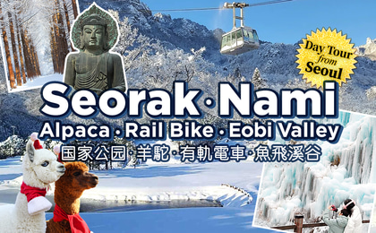 Nami Island & Mt.Seorak Sightseeing Day Tour with Optional Cable Car