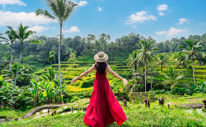 Private Tour Klasik di Ubud