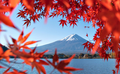 【富士山＆箱根】富士山麓大石公園でお花見・大涌谷ロープウェイ・芦ノ湖観光クルーズ日帰りツアー（クルーズ体験付き、東京発）