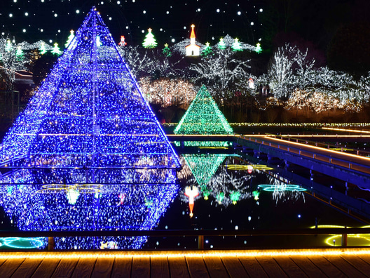 Ashikaga Flower Park