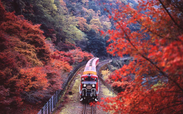 【Guaranteed】Kyoto Sagano Train, Hozugawa Boat & Arashiyama Walk