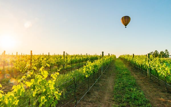 Sunrise hot air balloon with bubbly breakfast+photo in Hunter Valley