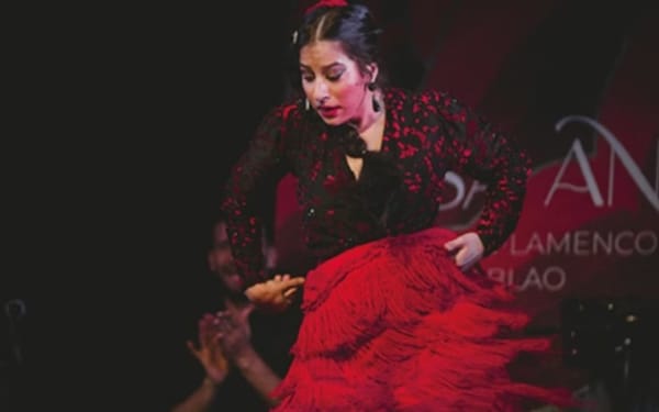 Traditional flamenco show at Casa Ana ticket in Granada