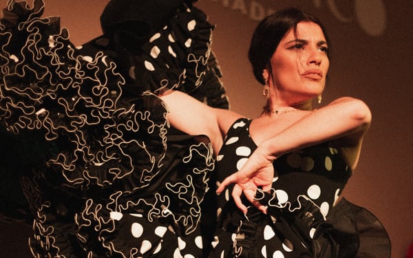 Traditional Flamenco Show in Madrid