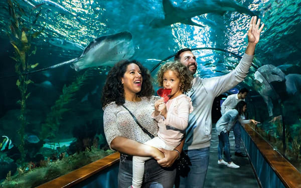 Loro Parque ticket
