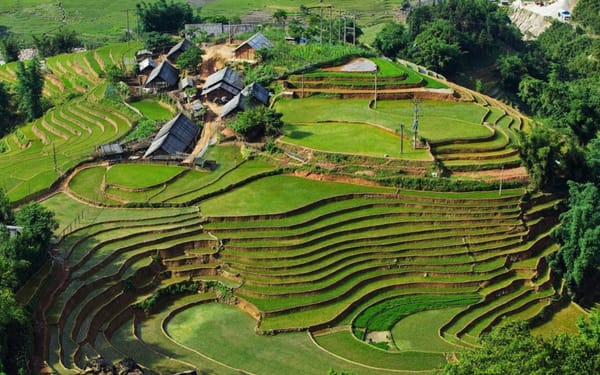 Sapa Muong Hoa Valley Small Group Trekking Tour