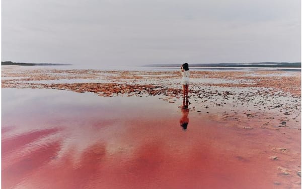 2 Days Pink Lake and Kalbarri Guided Tour with Optional Activities