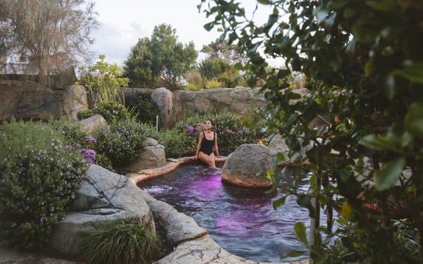 Hot Springs Sanctuary Experience