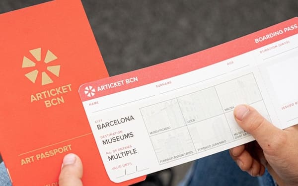 Barcelona Museum Pass (Articket): Picasso Museum Ticket & 5 More