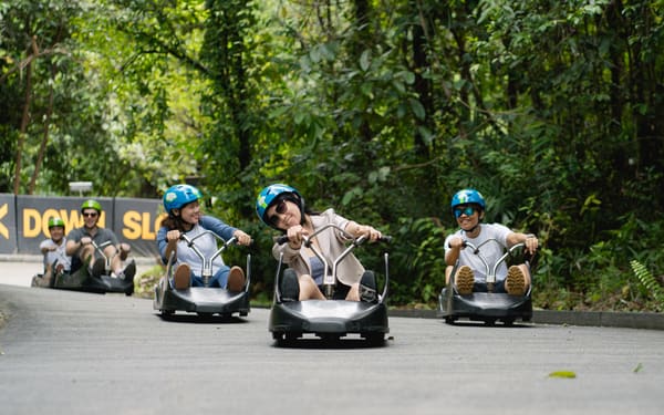 Skyline Luge Singapore Ticket