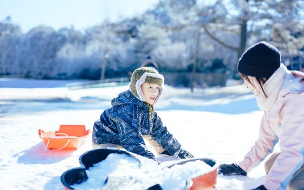 Mt. Rokko Snow Park Full-Day Guided Tour with Buffet