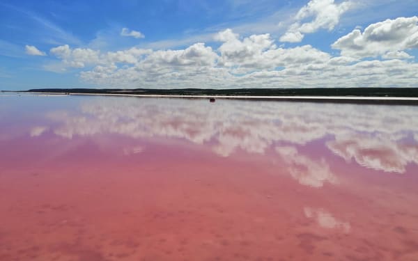 2 Day Pink Lake and Kalbarri Tour