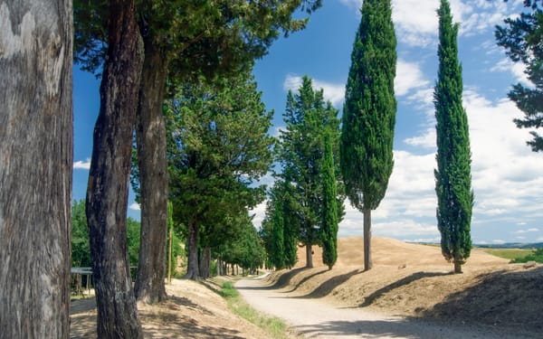 Florence Day Trip: Medieval Villages & Cooking Class