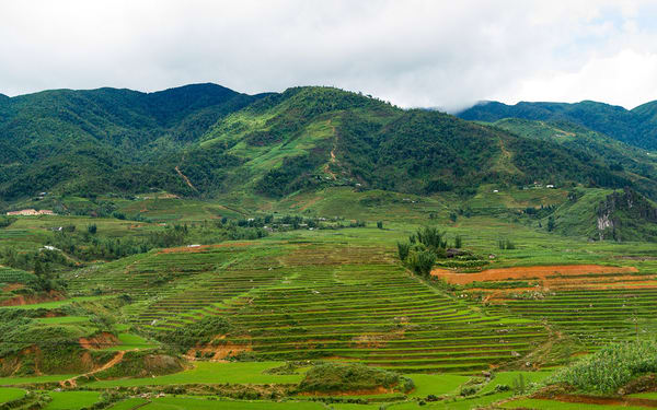 Sapa Ta Phin & Ma Tra Private Half-Day Trekking Tour