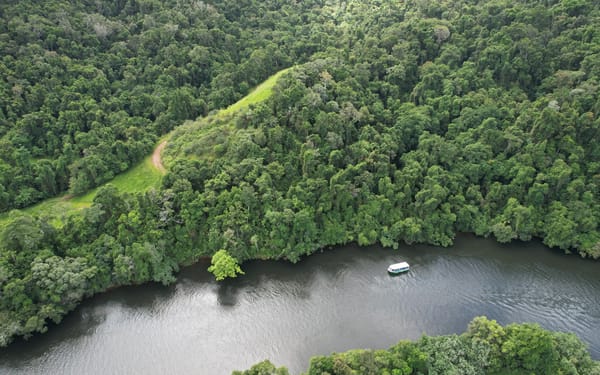 Greater Daintree Wildlife Cruise